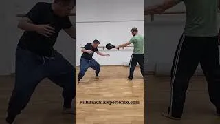 Miniature : Exercice de vitesse et réflexes. #artsmartiaux  #force #taichi