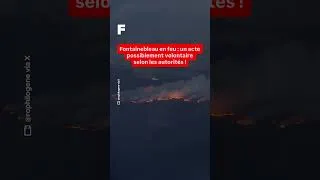 Miniature : Fontainebleau ravagée par les flammes : un incendie d’une ampleur exceptionnelle !