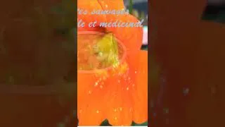 Miniature : prochainement