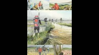 Miniature : Danser avec le vent - Emmanuel Lepage