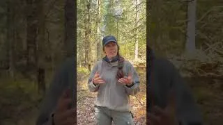 Miniature : Témoignages d'une enseignante et de ses étudiants de l’École forestière de La Tuque