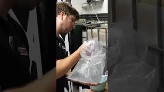 Miniature : On a reçu nos nouveaux poissons (prêt à passer l'été dehors ?)