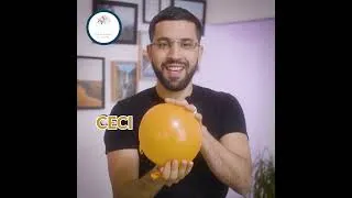 Miniature : Mohamed Boclet | Champion de lecture rapide