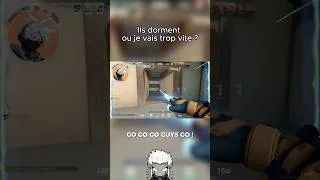 Miniature : Ils dorment ou je vais trop vite ? 🤯En live tous les jours.