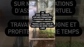 Miniature : Votre rêve de travail en ligne est à votre portée #assistantvirtuel #travailadomicile