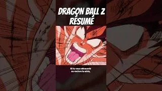 Miniature : TOUT DRAGON BALL Z RÉSUMÉS (291 ÉPISODES)