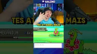 Miniature : Quand tu hésites entre 2 Pokémon