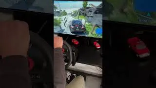 Miniature : #automobile #rallye #logitechg29
