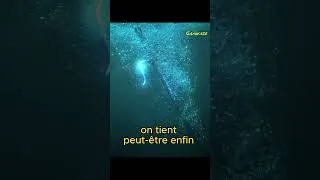 Miniature : Le jeu Tortues Ninja que personne n'attendait 😱