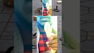 Miniature : Face à la peur des serpents meurtriers de #marrakech #maroc #serpent #snake #vlog #foryou