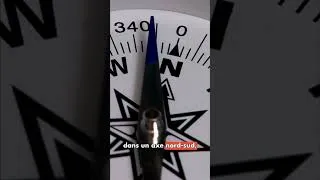 Miniature : Pourquoi les passages piétons japonais font des bruits d'oiseaux