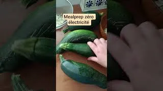 Miniature : Mealprep spéciale goûter au four solaire #autonomie #recette #solaire