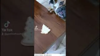 Miniature : quand tu es gourmand 😋