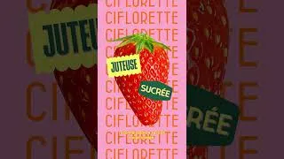 Miniature : Fraise Label Rouge : connaissez-vous ses 4 variétés ?
