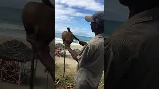 Miniature : Fresh coconut water - Madagascar