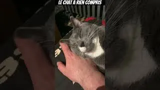 Miniature : À la fin il ce gamelle