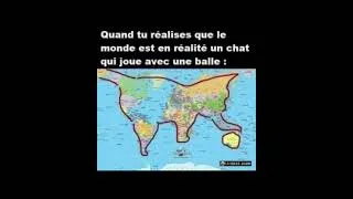 Miniature : Préparez-vous à rire avec notre compilation hilarante de mêmes de chats et d'animaux ! 🐾
