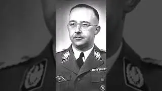Miniature : Pourquoi la SS a recruté des peuples non germains ? #histoire #history #ww2