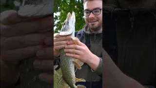 Miniature : CE BROCHET S’EST JETER SUR MON LEURRE ÉLECTRIQUE !