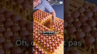 Miniature : Qui Suis-GE | épisode 4 : Les oeufs GRTA