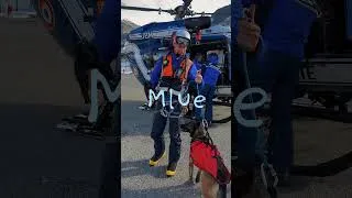 Miniature : Notre couleur préférée ? #mlue #gendarme #gendarmerie