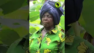Miniature : 🇬🇦 Gabon | 17 avril, célébration de la journée nationale de la femme