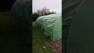 Miniature : Tempête et serre 1er prix!