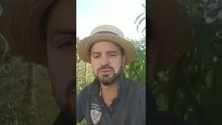 Miniature : Potager sans EAU !