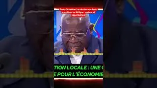 Miniature : Transformation locale des matières premières en Afrique : enjeux et opportunités #afrique #économie
