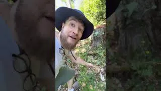 Miniature : Ne faites pas de rando avec Stephane !! #humour #imitation #sketch