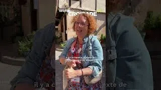 Miniature : La cathédrale Sainte-Cécile d'Albi est la plus grande cathédrale en briques du monde 🤯