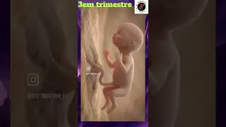 Miniature : La vie avant la naissance