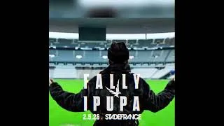 Miniature : Fally Ipupa en concert au Stade de France le 2 mai 2026