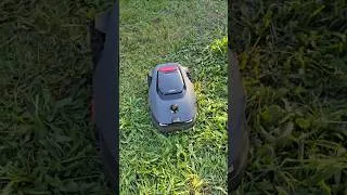 Miniature : robot tondeuse mova lidax ultra 800 #2