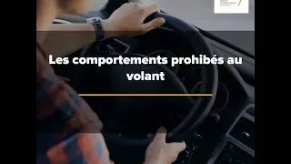 Miniature : Les comportements interdits au volant