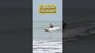 Miniature : Playa Malibu / Rio Chame - Spot del cauce muerto