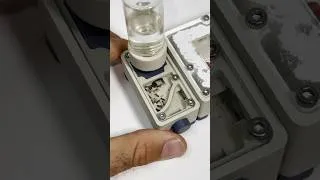 Miniature : Déménagement réussi pour les Crematogaster !