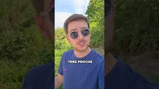 Miniature : Ça, c'est de la trottinette électrique de compète ! - Wispeed Airo V16 #trotinette #mobilité