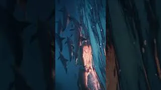 Miniature : Voyage Dauphin 2026 🐬✨
