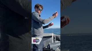 Miniature : Une fois par mois, le Gipreb réalise le « suivi hydro » … mais qu’est-ce que c’est?!