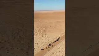 Miniature : Les portes du désert  road trip moto Tunisie 🇹🇳