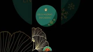 Miniature : Calendrier de l’Avent 2024/ J-5 : 2 Mudras en cadeau