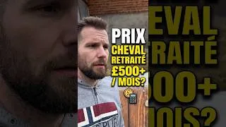 Miniature : Le budget mensuel pour mon cheval retraité #cheval #equitation #pension