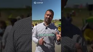 Miniature : Daniel Garcia, de Llobet RAIMAT, comparte su opinión sobre la robótica agrícola en España [ES]