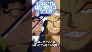 Miniature : One Piece cache BEAUCOUP TROP de SECRETS