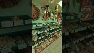 Miniature : Un Guadeloupéen en Floride - A Chill Day! Ep 3