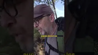 Miniature : 🥾 Je suis tombé face à des sangliers... 😳🐗 — Jour 53