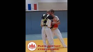 Miniature : Karate Contact