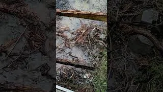 Miniature : C'est quoi ça une baissière? #swale #permaculture #eau #jardinage