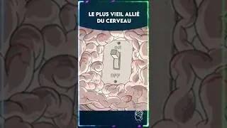Miniature : LE PLUS VIEL ALLIÉ DE TON CERVEAU
